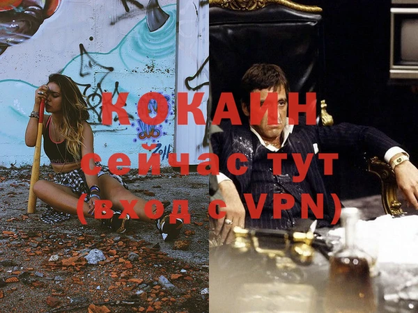 МДПВ Новосибирск