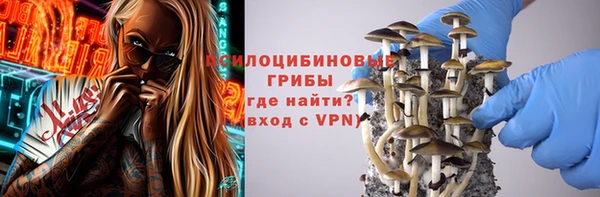 МДПВ Новосибирск