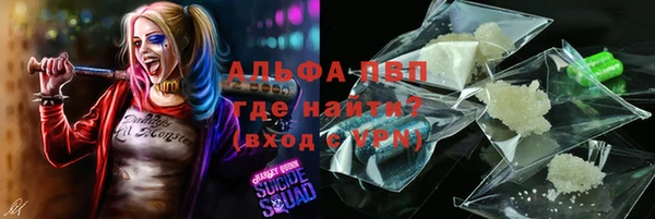 МДПВ Новосибирск