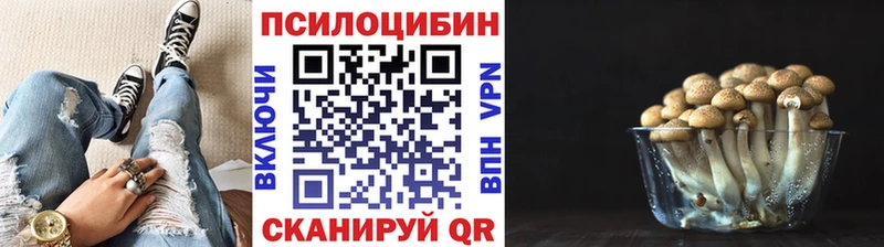 Галлюциногенные грибы MAGIC MUSHROOMS  Купить закладки  Лабинск 